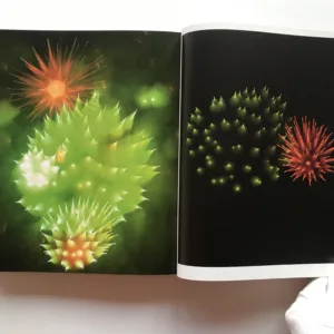 Photoviz (Visualizing Information Through Photography), Nicholas Felton