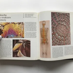 Příběh fotografie, Daniela Mrázková