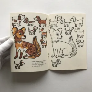 Učíme se počítat (omalovánky), Miroslav Habr, Hana Neborová