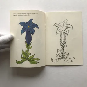 Chráníme na horách (omalovánky), Kristina Uhlíková