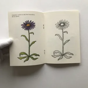 Chráníme na horách (omalovánky), Kristina Uhlíková