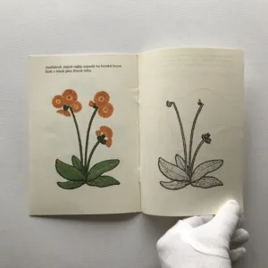 Chráníme na horách (omalovánky), Kristina Uhlíková