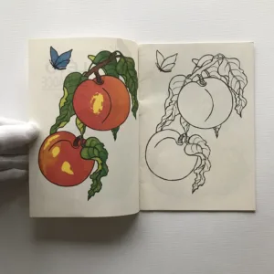 Léto na zahrádce (omalovánky), Jana Švejdová