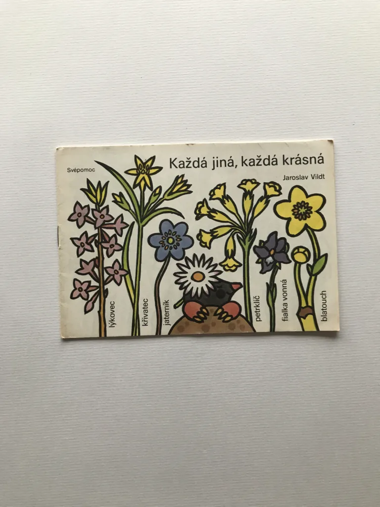 Každá jiná, každá krásná (omalovánky), Jaroslav Vildt