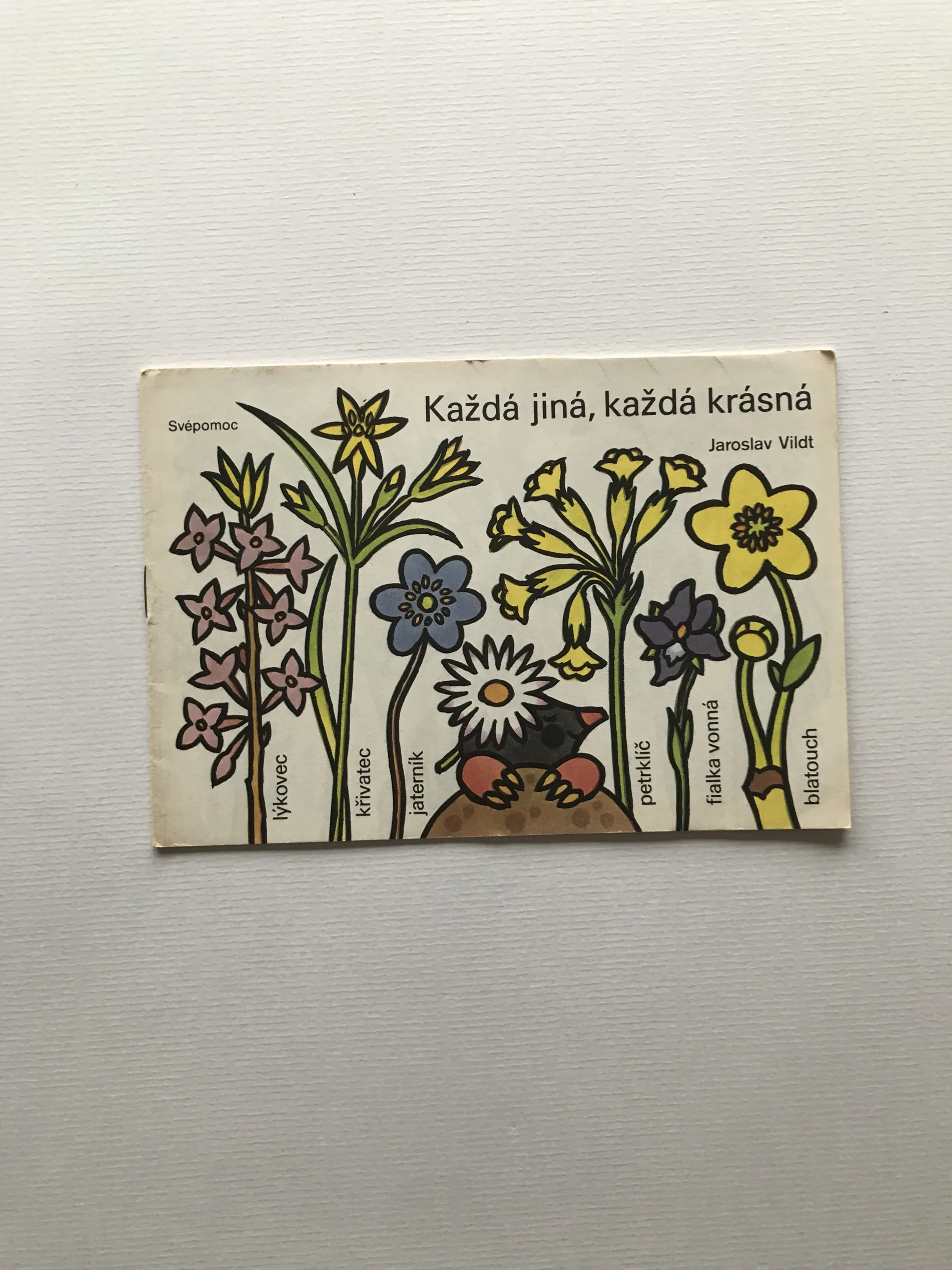 Každá jiná, každá krásná (omalovánky), Jaroslav Vildt