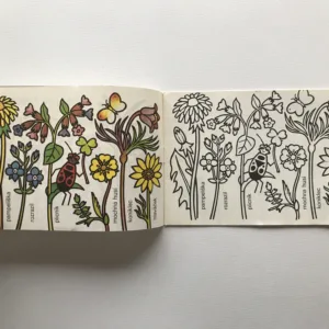 Každá jiná, každá krásná (omalovánky), Jaroslav Vildt