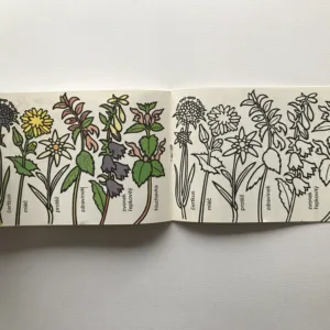 Každá jiná, každá krásná (omalovánky), Jaroslav Vildt