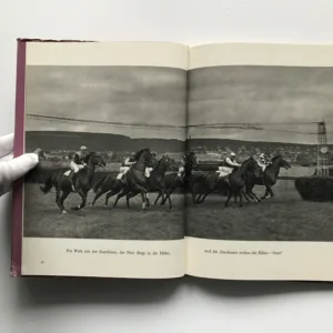 Das Fohlen Quecksilber, Zdenek Treybal, Theodor Pištěk