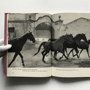 Das Fohlen Quecksilber, Zdenek Treybal, Theodor Pištěk