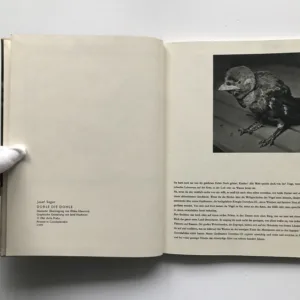 Dorle die Dohle, Josef Seget, Eliška Glaserová