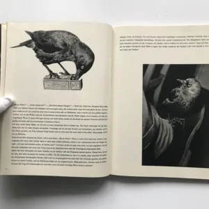 Dorle die Dohle, Josef Seget, Eliška Glaserová