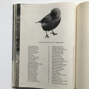 Dorle die Dohle, Josef Seget, Eliška Glaserová