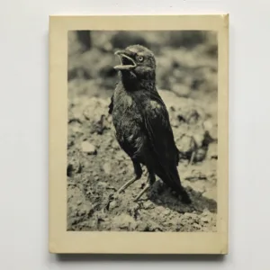 Dorle die Dohle, Josef Seget, Eliška Glaserová