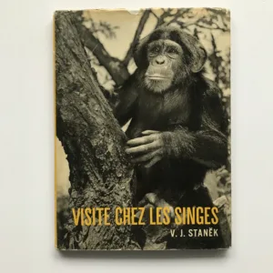 Visite chez les singes, Václav Jan Staněk, Jeanne Reverseau