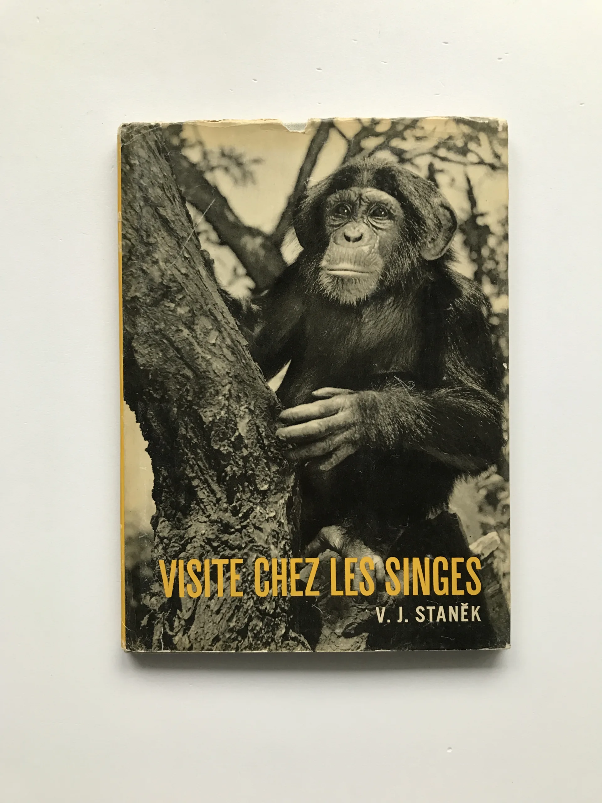 Visite chez les singes, Václav Jan Staněk, Jeanne Reverseau