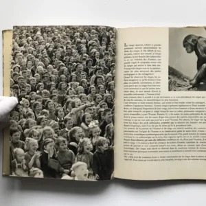 Visite chez les singes, Václav Jan Staněk, Jeanne Reverseau