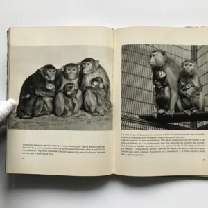 Visite chez les singes, Václav Jan Staněk, Jeanne Reverseau