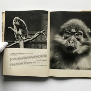 Visite chez les singes, Václav Jan Staněk, Jeanne Reverseau