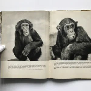 Visite chez les singes, Václav Jan Staněk, Jeanne Reverseau