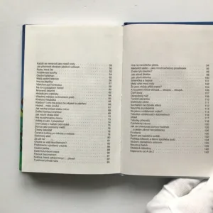 2. příručka mladých svišťů, Walt Disney