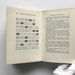 Jak se pobavím s kartami (Patience, kouzla, hádání budoucnosti), Dean Bryden