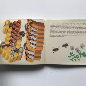 Jíš rád med?, Drahomíra Žofková, Karel Drchal