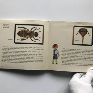 Jíš rád med?, Drahomíra Žofková, Karel Drchal