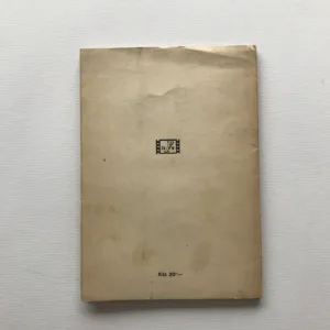 Problematika námětu ve filmu, Antonín Martin Brousil