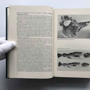 Der Fisch, Band V (Fischwaren-Technologie), Clara Baader, Peter Biegler