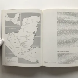 Die Kunst der Maya (Von den Olmeken zu den Maya-Tolteken), Henri Stierlin