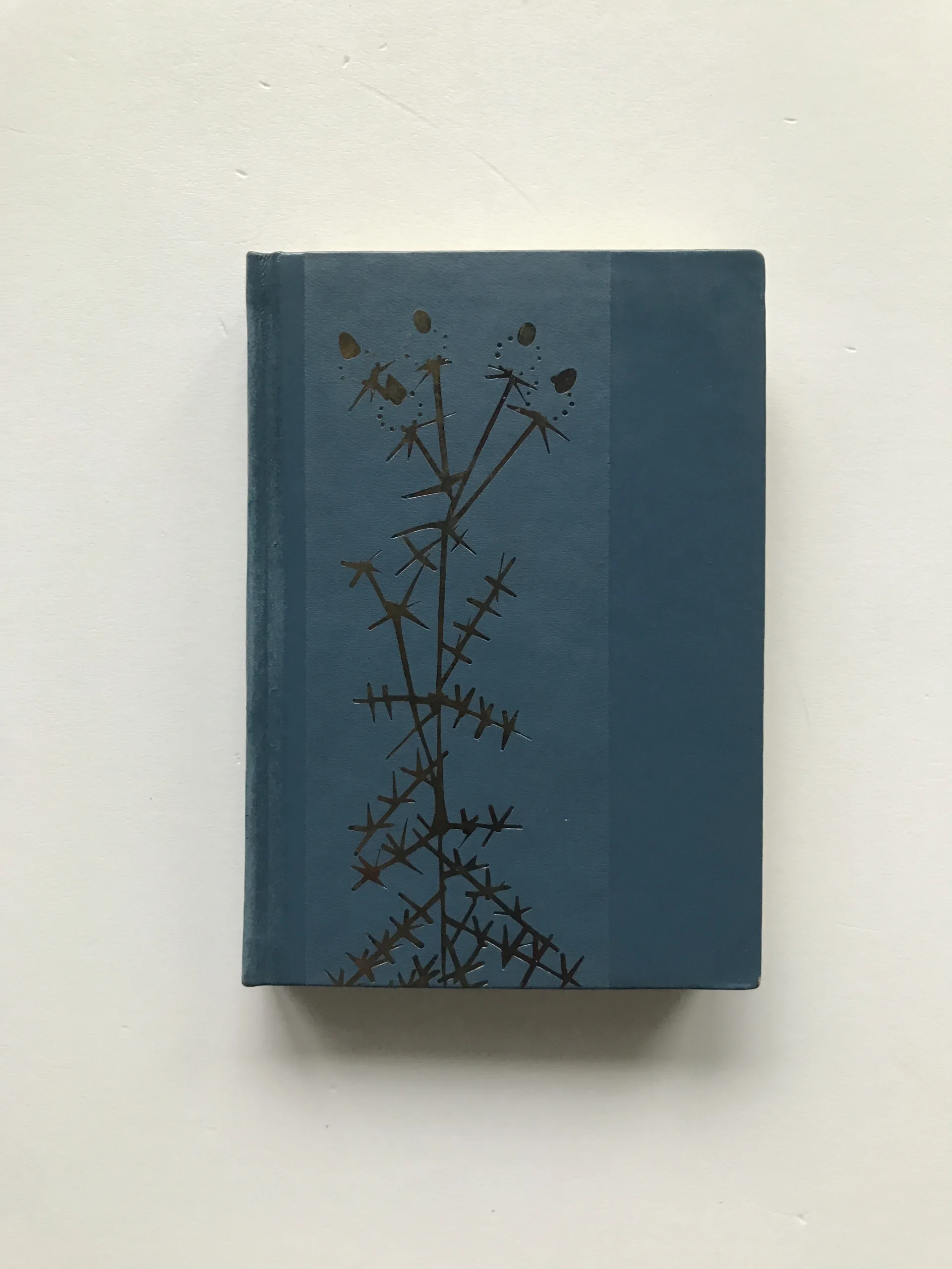 Chudá přadlena (Výbor), Jarmila Glazarová