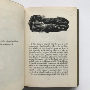 Havířská balada, Marie Majerová