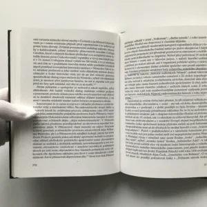 Německo a Češi (Dějiny jednoho sousedství uprostřed Evropy), Ferdinand Seibt