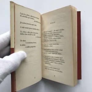 Naše láska zítra, Ivo Fleischmann