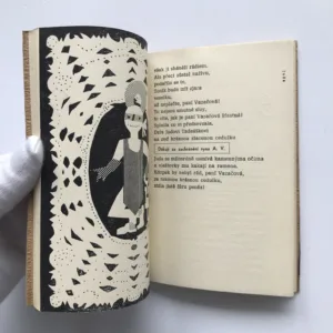 Nahýbejte se z oken, Boris Jachnin, Jiří Tichý