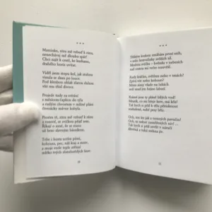 Nářek harmoniky (Výbor z lyriky), Sergej Jesenin