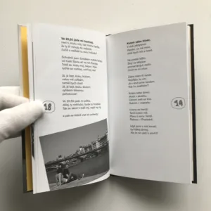 Milujem se čím dál víc, Pavel Cmíral