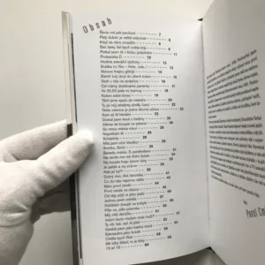 Milujem se čím dál víc, Pavel Cmíral