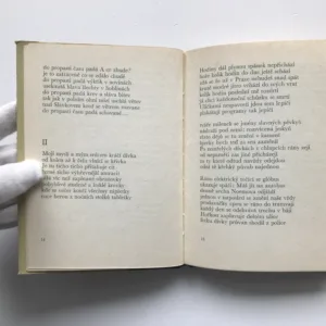 Mimoúrovňové křižovatky, Petr Skarlant