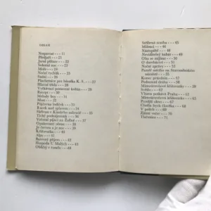 Mimoúrovňové křižovatky, Petr Skarlant