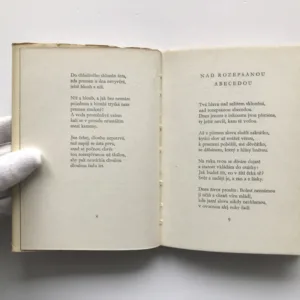 Večer u studny, František Branislav