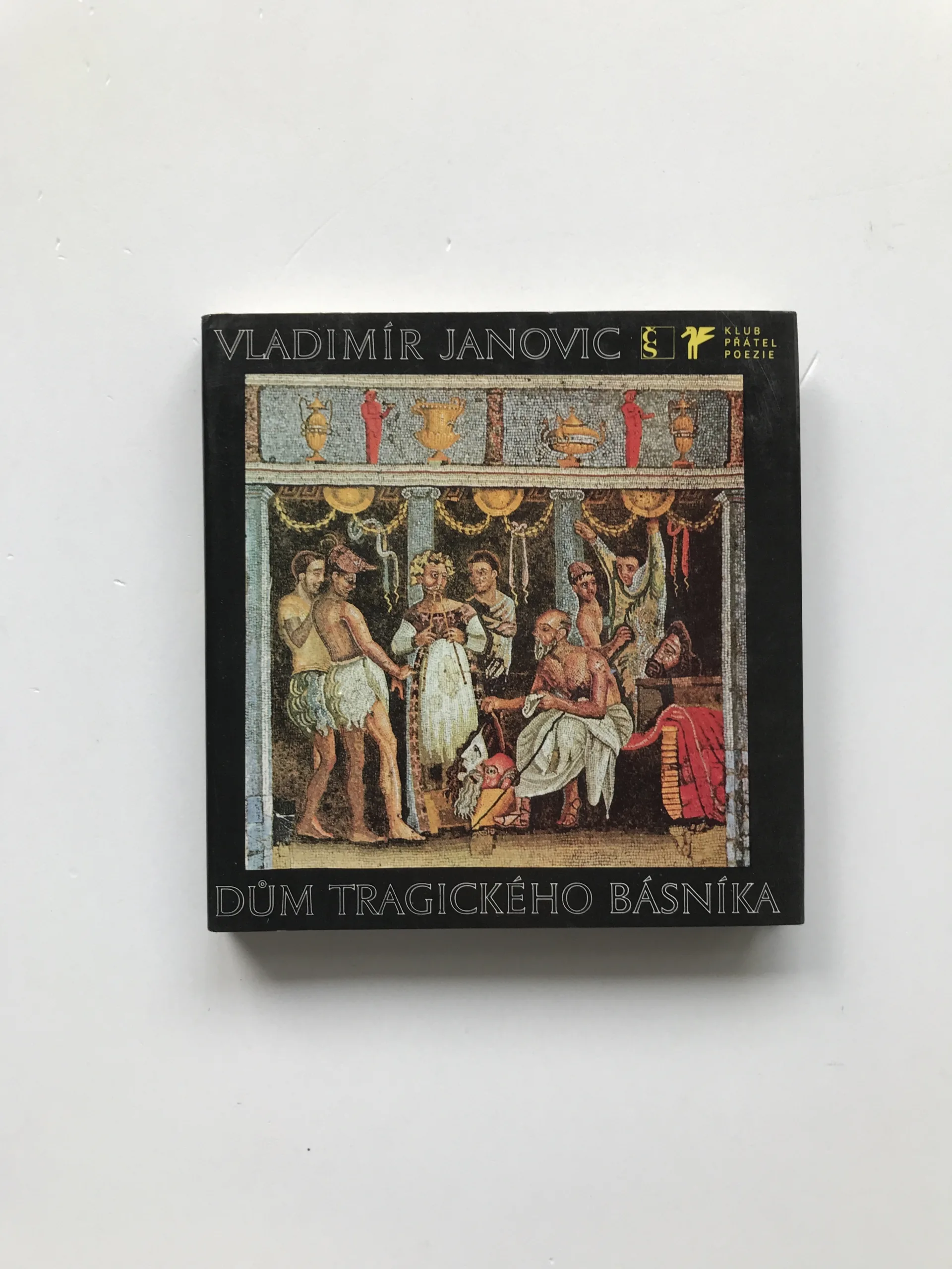 Dům tragického básníka, Vladimír Janovic