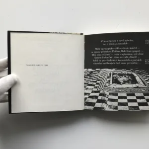 Dům tragického básníka, Vladimír Janovic