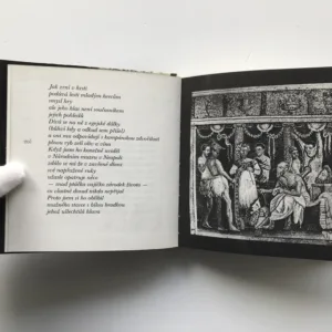 Dům tragického básníka, Vladimír Janovic