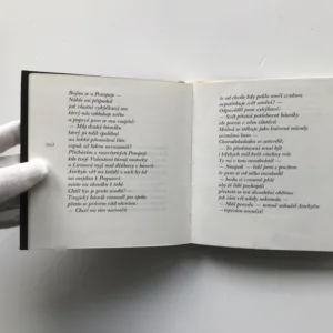 Dům tragického básníka, Vladimír Janovic