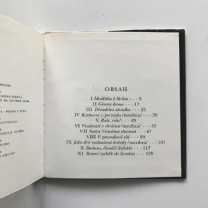 Dům tragického básníka, Vladimír Janovic