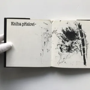 Kniha přísloví, Karel Sýs