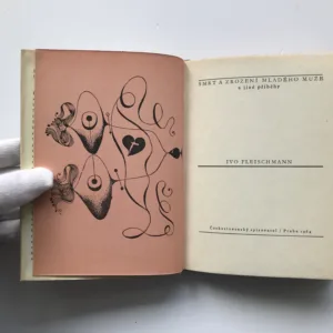 Smrt a zrození mladého muže a jiné příběhy, Ivo Fleischmann