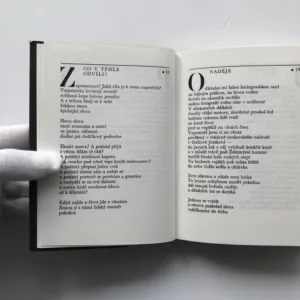 Včelí král, Jaroslav Holoubek