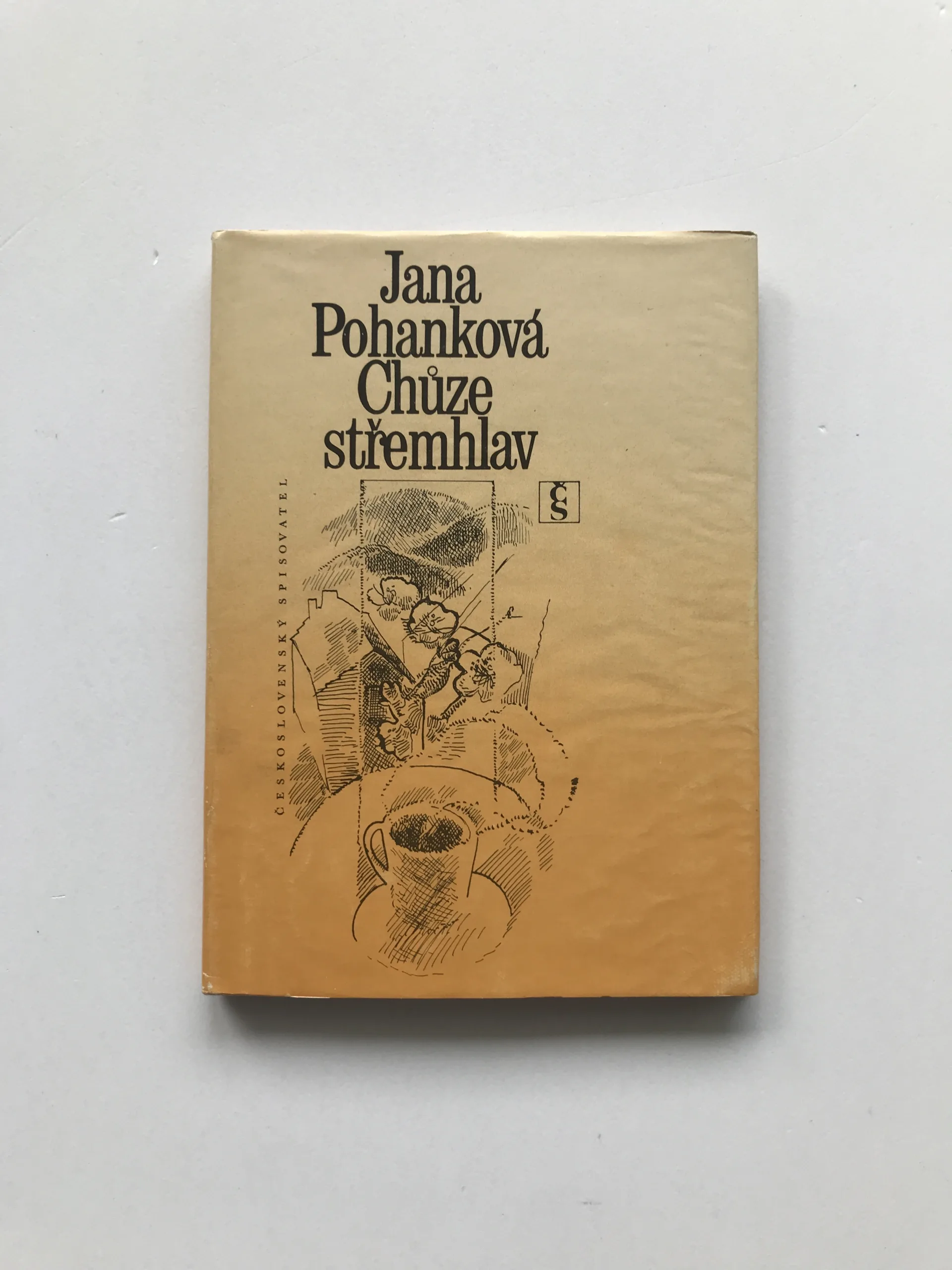 Chůze střemhlav, Jana Pohanková, Jana Lochovská
